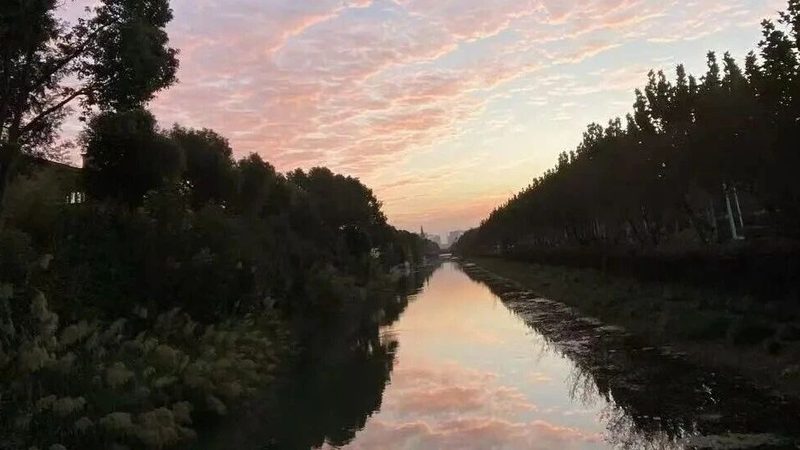 发明专利年费缴纳：步骤详解与收费标准揭秘